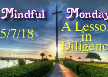Mindful Monday a lesson in diligence